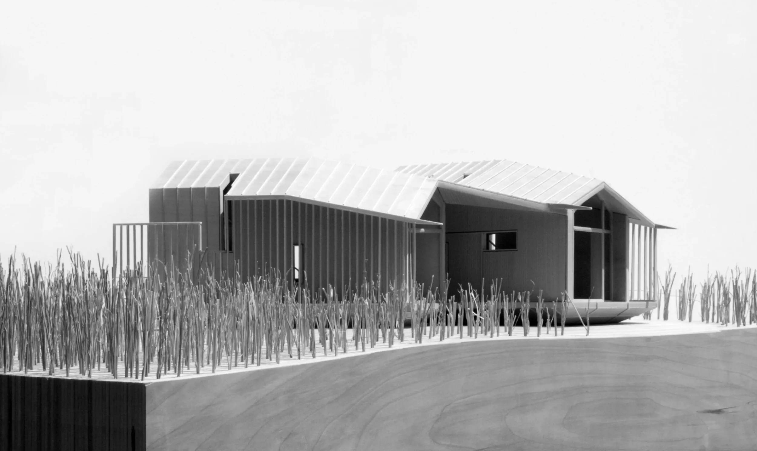 Micro Housing II — zinc and wood cladding detail